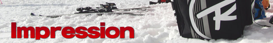 ���V�j���[�� �X�L�[ �C���v���b�V����