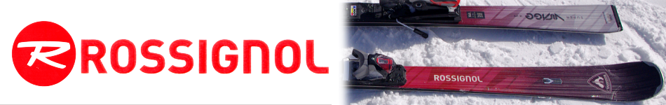 ���V�j���[�� �X�L�[