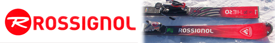 ���V�j���[�� �X�L�[