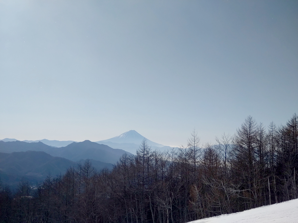 来期マテリアル